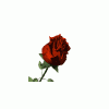 rcgs59_